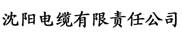 另类二区三四电缆厂logo